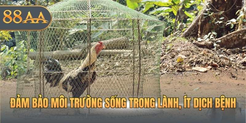 Đảm bảo môi trường sống trong lành, ít dịch bệnh